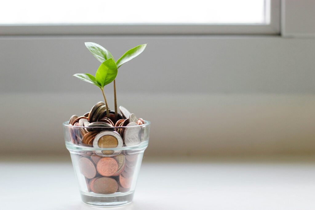 A finance coach will solve all your money problems.